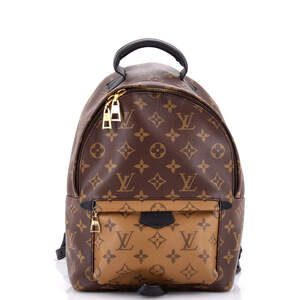 Louis Vuitton Palm Springs Backpack #218630L19B